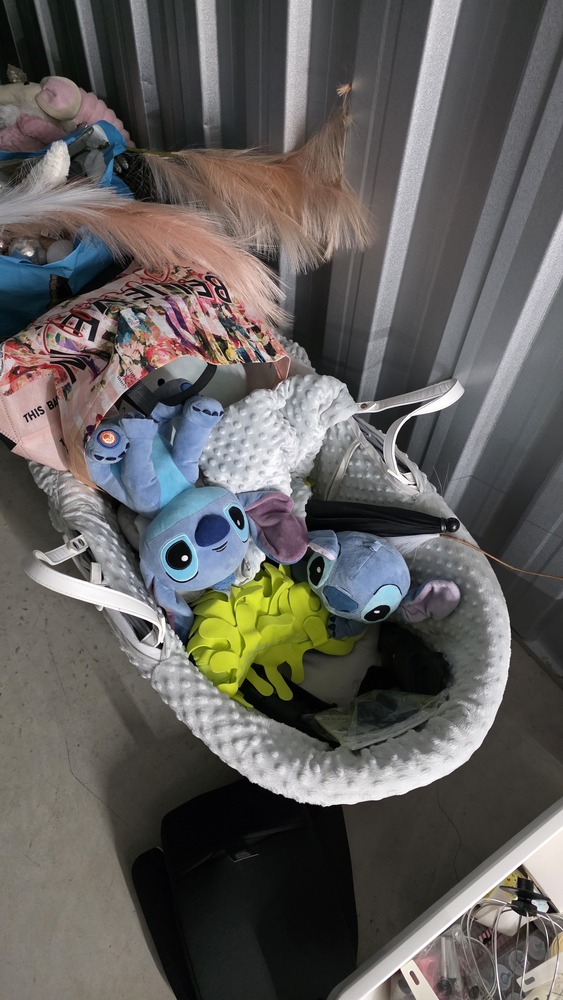 SureStore Ashton Self storage unit auction IB-2023 13