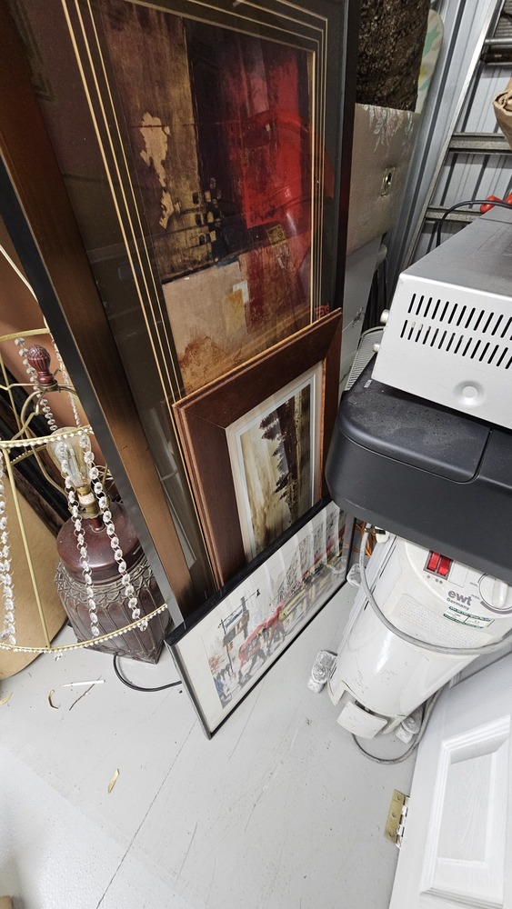 Magenta Storage Self storage unit auction IB-9017 13