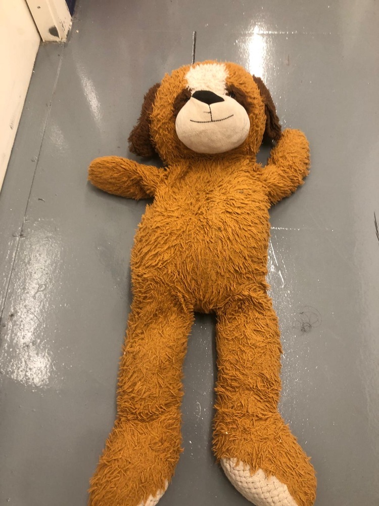 Charlton Storage
Storage Facility
Storage Unit
Self storage unit
Self storage
Self storage facility
storage facility unit auction IB-3311 30