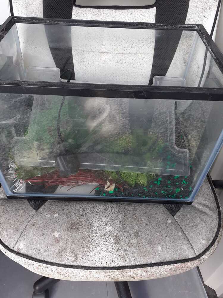 Plymouth Central Storage
Storage Facility
Storage Unit
Self storage unit
Self storage
Self storage facility
storage facility unit auction IB-1151 60