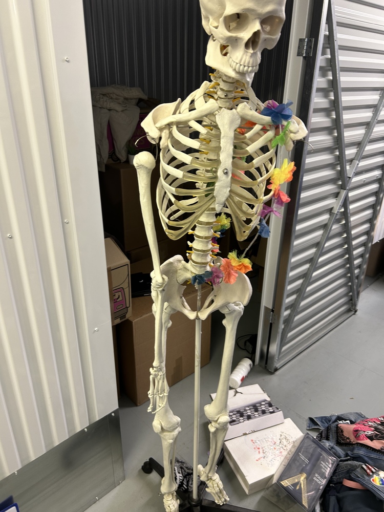 Southampton Storage
Storage Facility
Storage Unit
Self storage unit
Self storage
Self storage facility
storage facility unit auction IB-7472 20