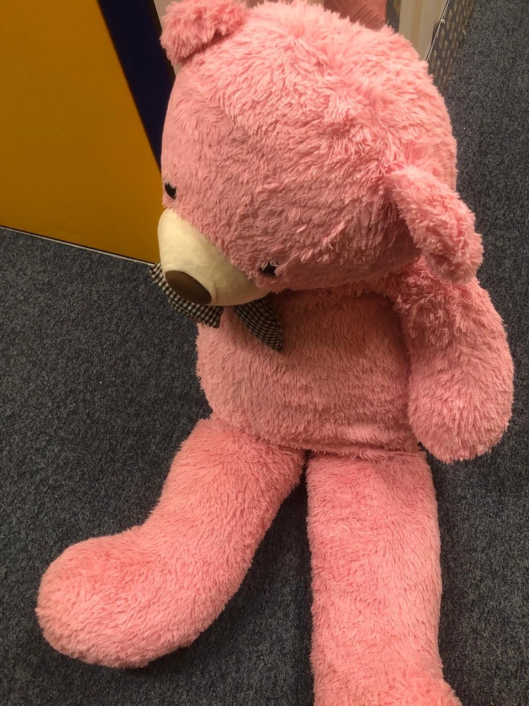 Enfield Storage
Storage Facility
Storage Unit
Self storage unit
Self storage
Self storage facility
storage facility unit auction IB-3802 90