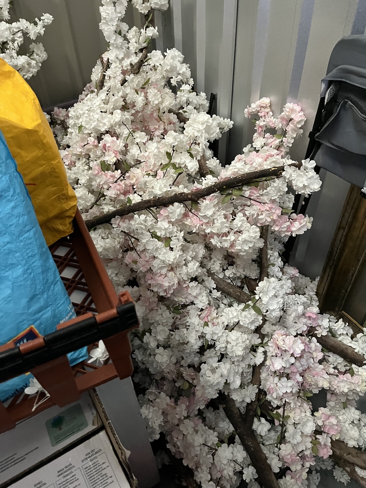 Sunderland Storage
Storage Facility
Storage Unit
Self storage unit
Self storage
Self storage facility
storage facility unit auction IB-2661 400