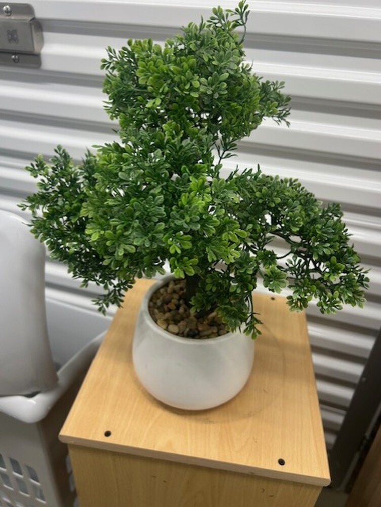 Chesterfield  Storage
Storage Facility
Storage Unit
Self storage unit
Self storage
Self storage facility
storage facility unit auction IB-1740 200