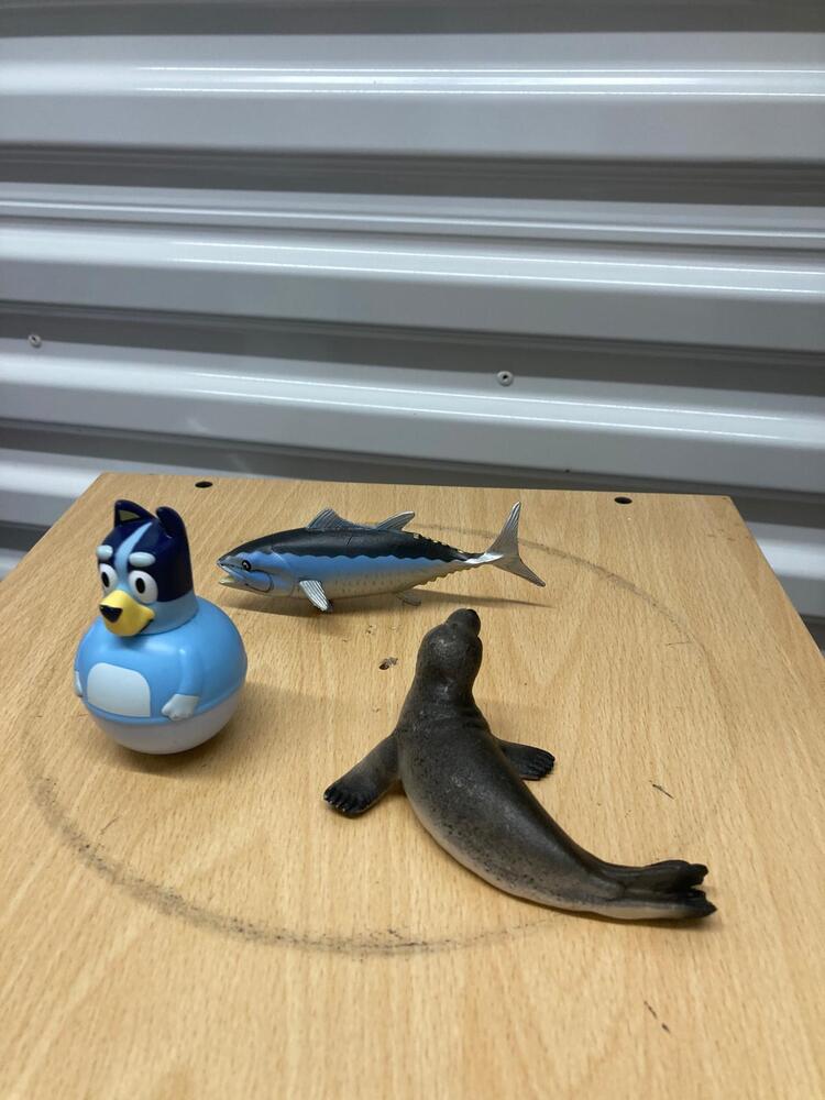 Chesterfield  Storage
Storage Facility
Storage Unit
Self storage unit
Self storage
Self storage facility
storage facility unit auction IB-1740 390