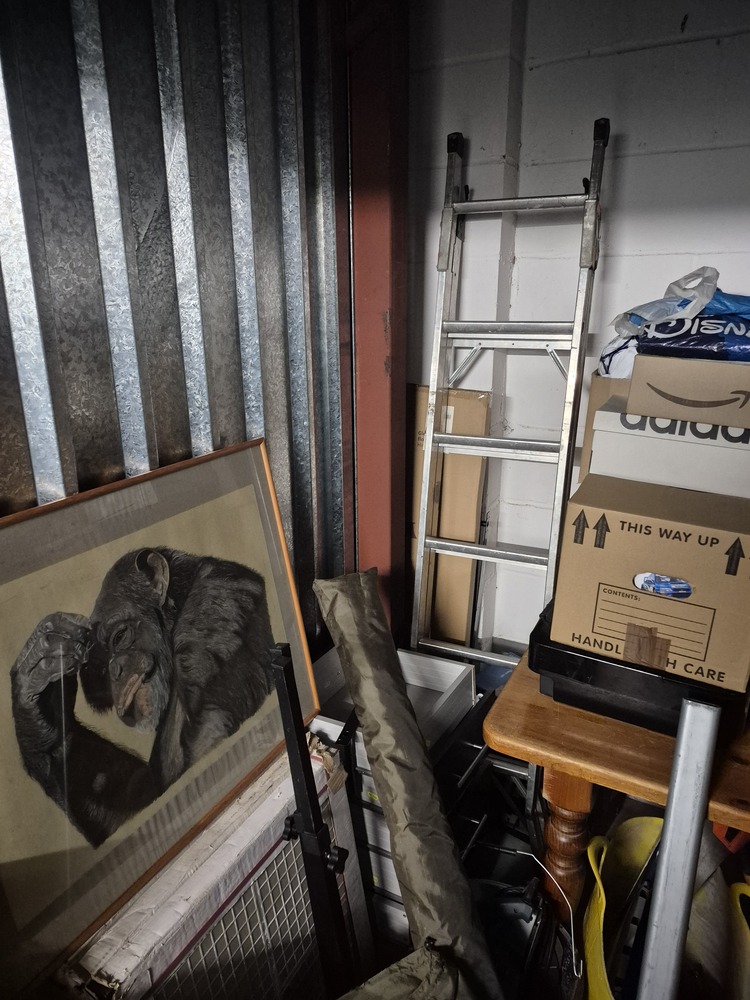 StorageMart Hassocks Storage
Storage Facility
Storage Unit
Self storage unit
Self storage
Self storage facility
storage facility unit auction IB-2524 10