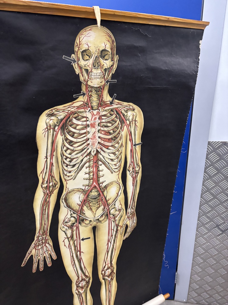 Wandsworth Storage
Storage Facility
Storage Unit
Self storage unit
Self storage
Self storage facility
storage facility unit auction IB-3775 260