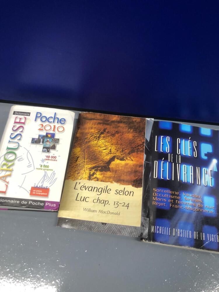 Lea Bridge Storage auction IB-9245