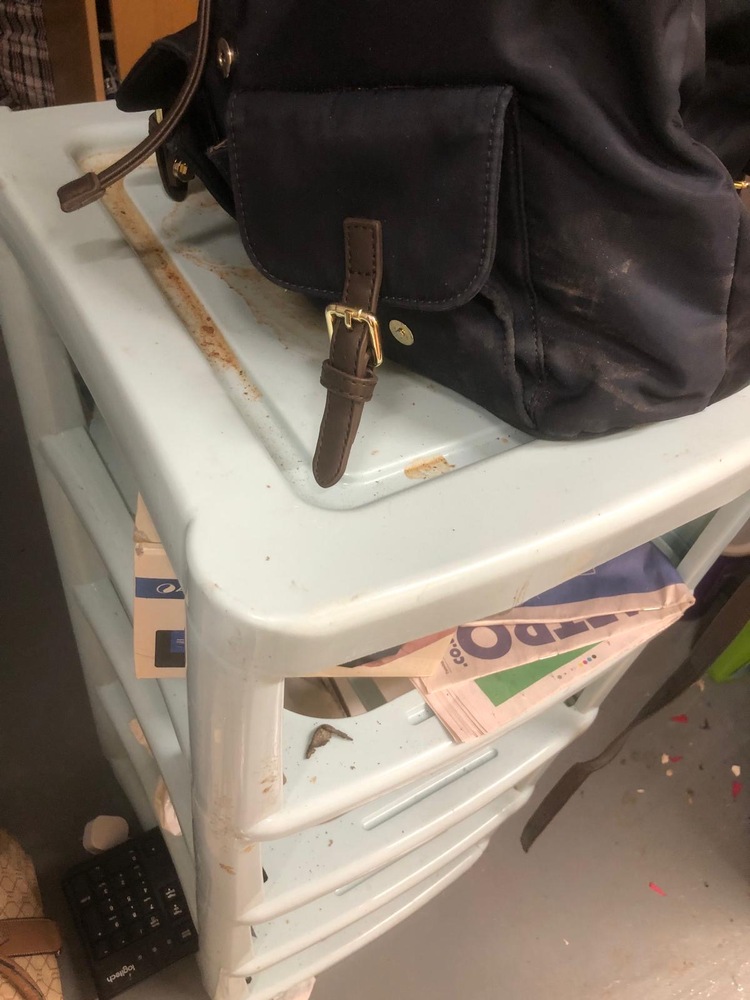 Charlton Storage Facility auction IB-8529