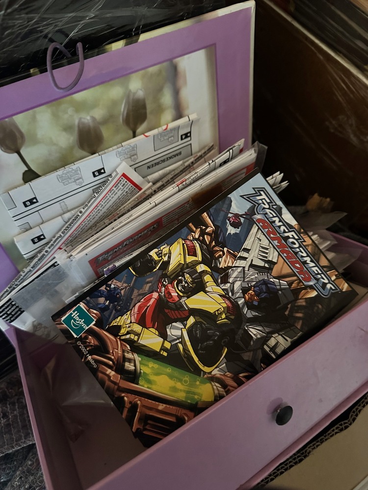 Swift Storage Storage Unit auction IB-4752