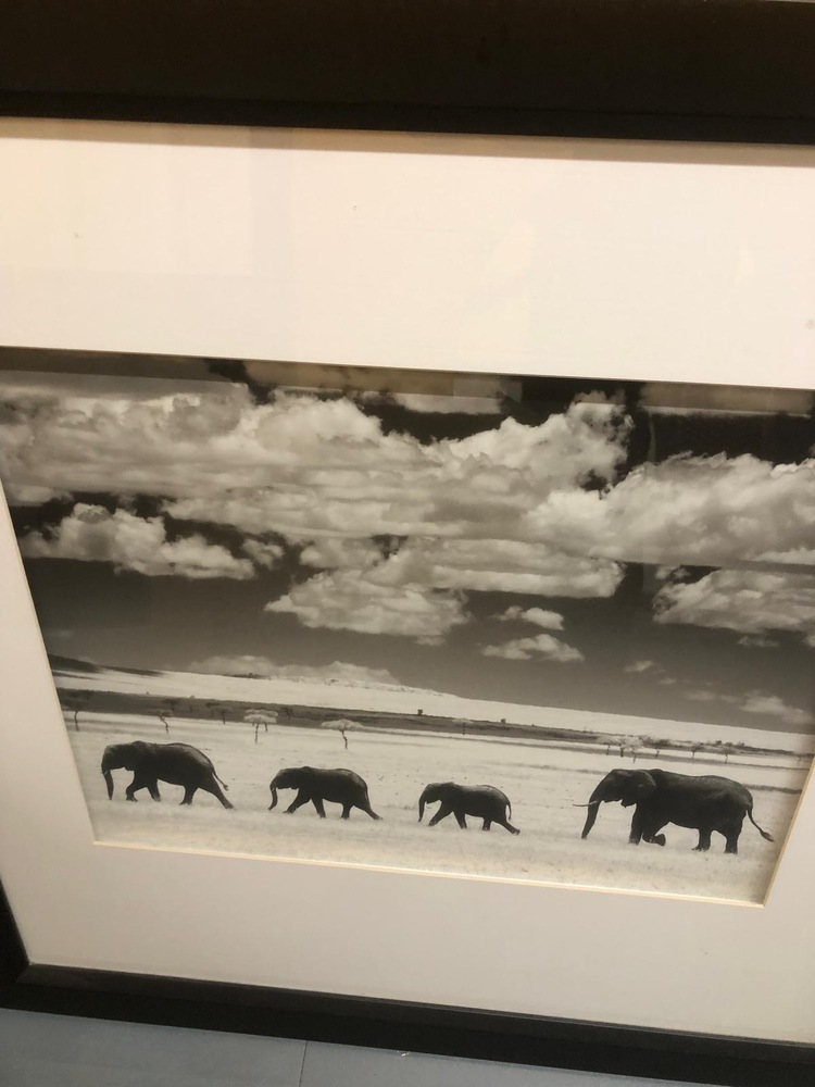 Eastbourne Storage Facility auction IB-5146 21