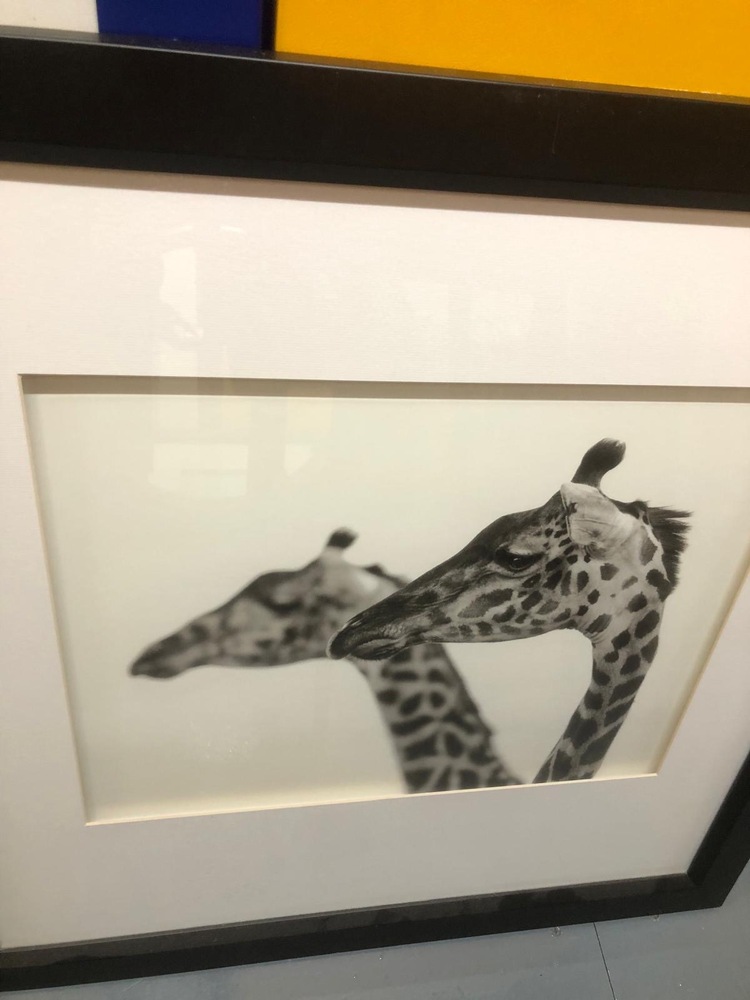 Eastbourne Self storage unit auction IB-5146 83