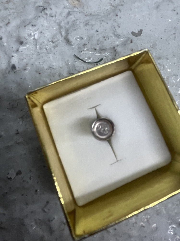 Chelsea Embankment Self storage auction IB-3612