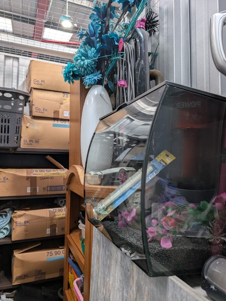 Bournemouth Storage Facility auction IB-8480