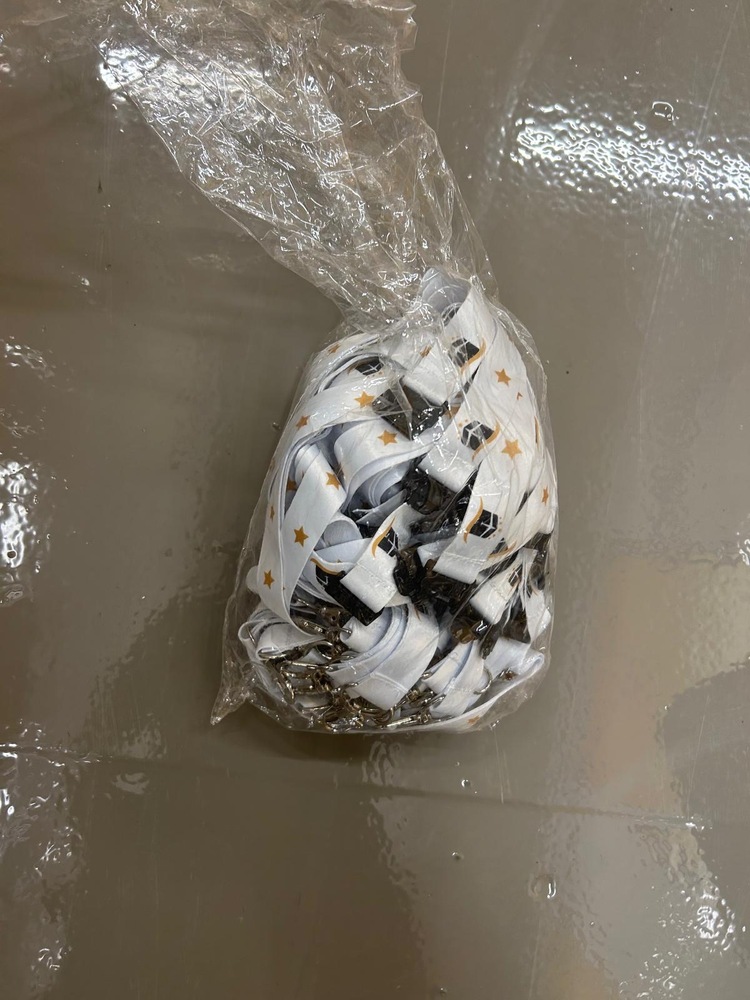 Hayes Storage Unit auction IB-6071