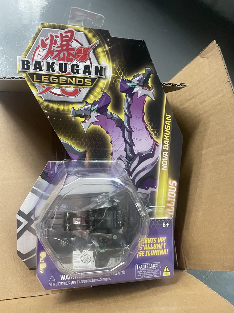 Staples Corner Self storage auction IB-7261 14