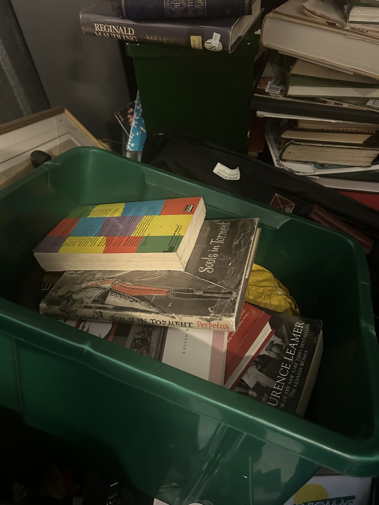 Alperton Self storage unit auction IB-9535 13