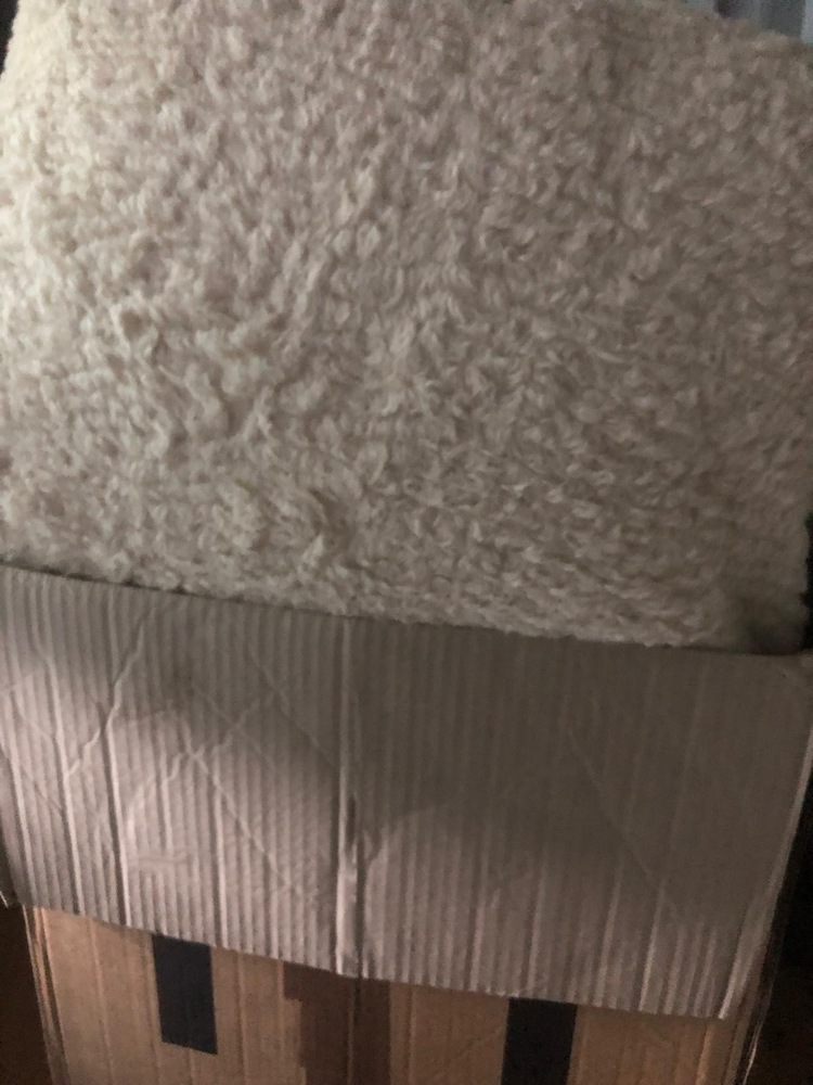 Farnham Storage Unit auction IB-3049