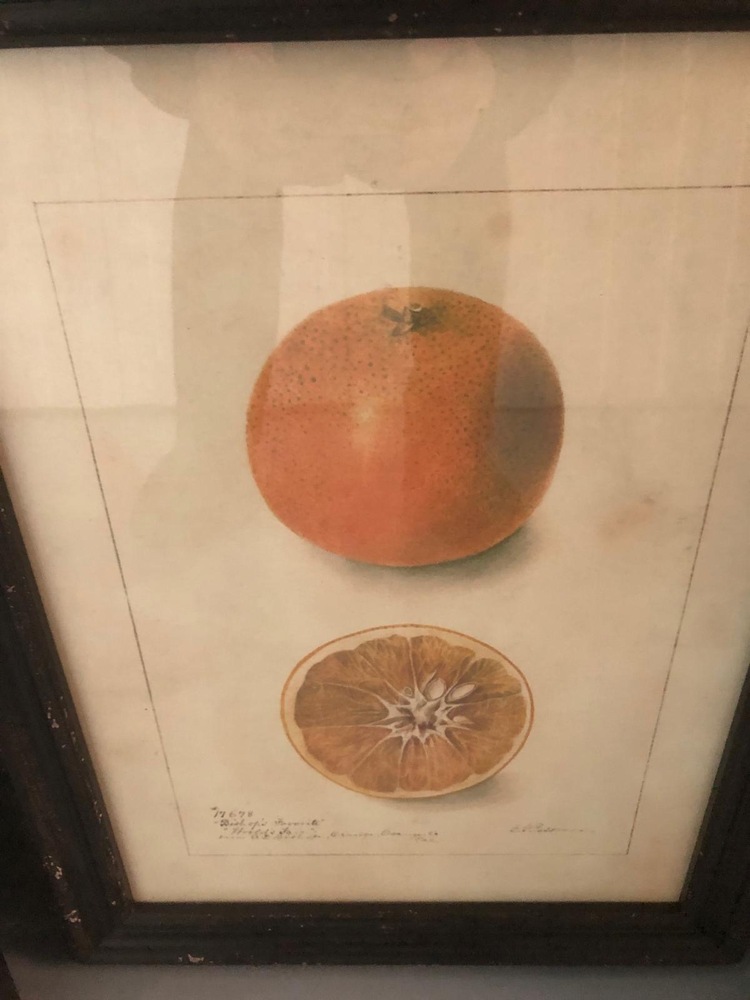 Farnham Storage Unit auction IB-1575 22