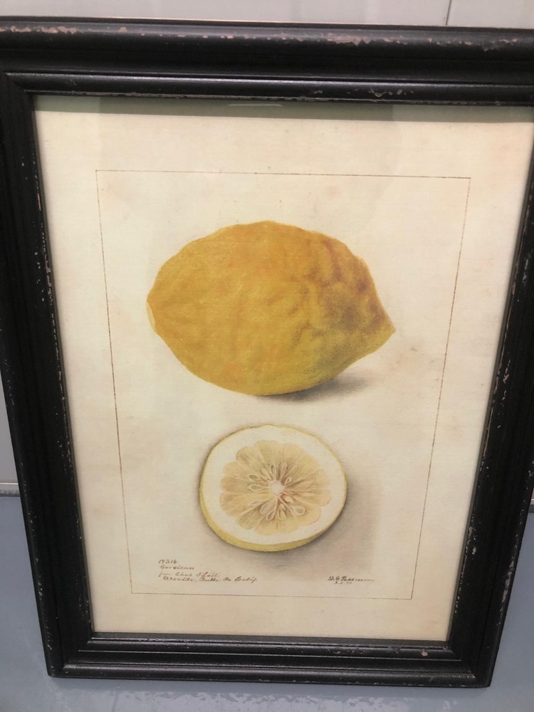 Farnham Self storage auction IB-1575 24