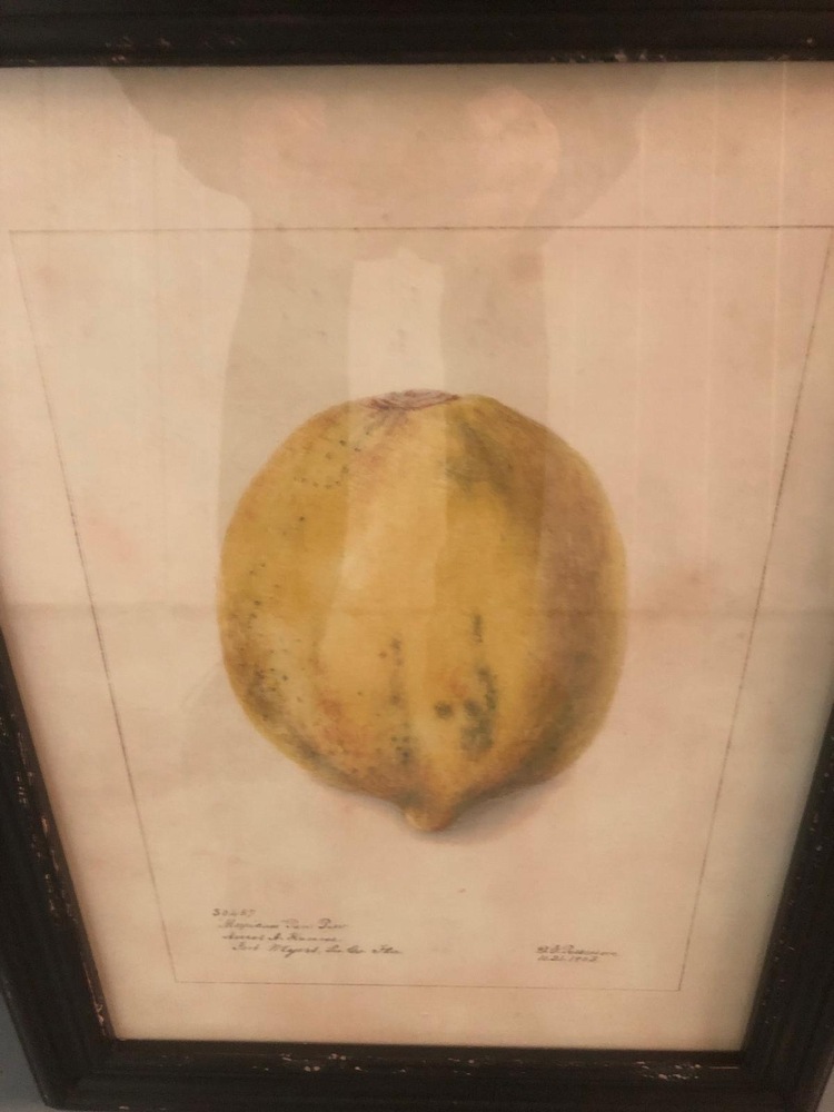 Farnham Self storage auction IB-1575 14