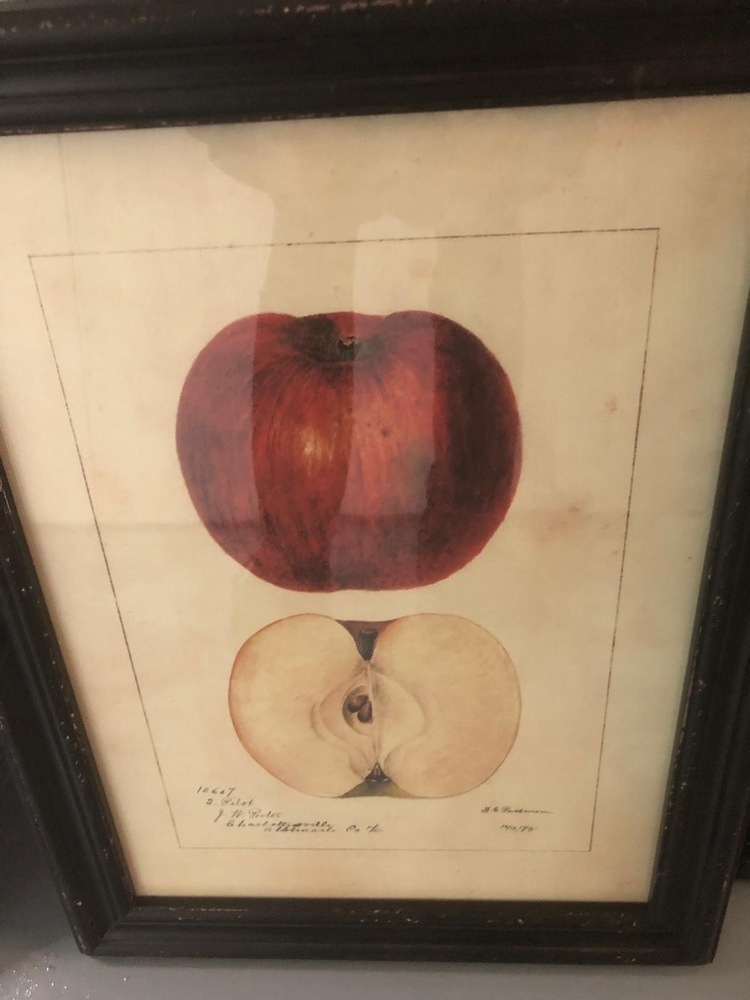 Farnham Self storage unit auction IB-1575 33