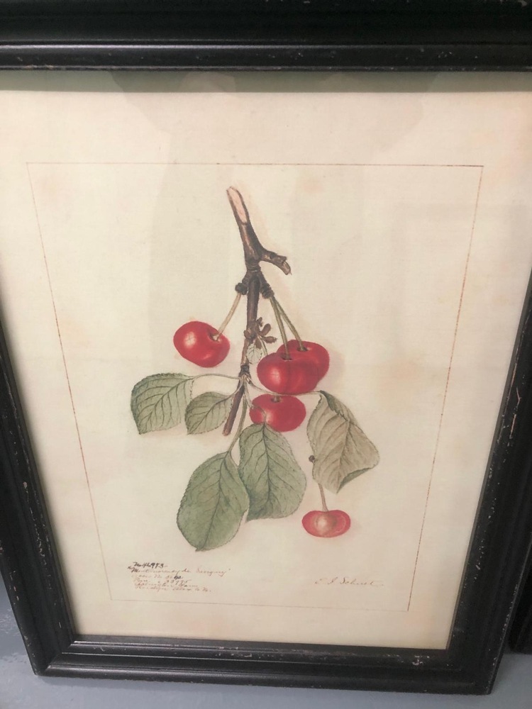 Farnham Self storage unit auction IB-1575 53