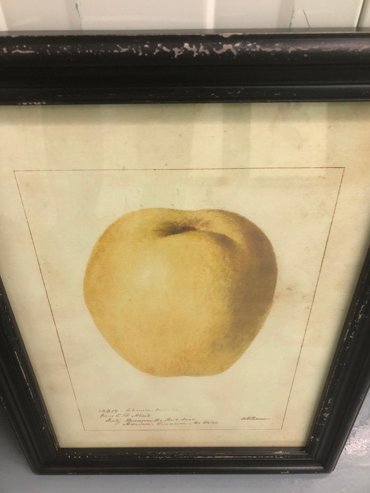 Farnham storage facility unit auction IB-1575 86