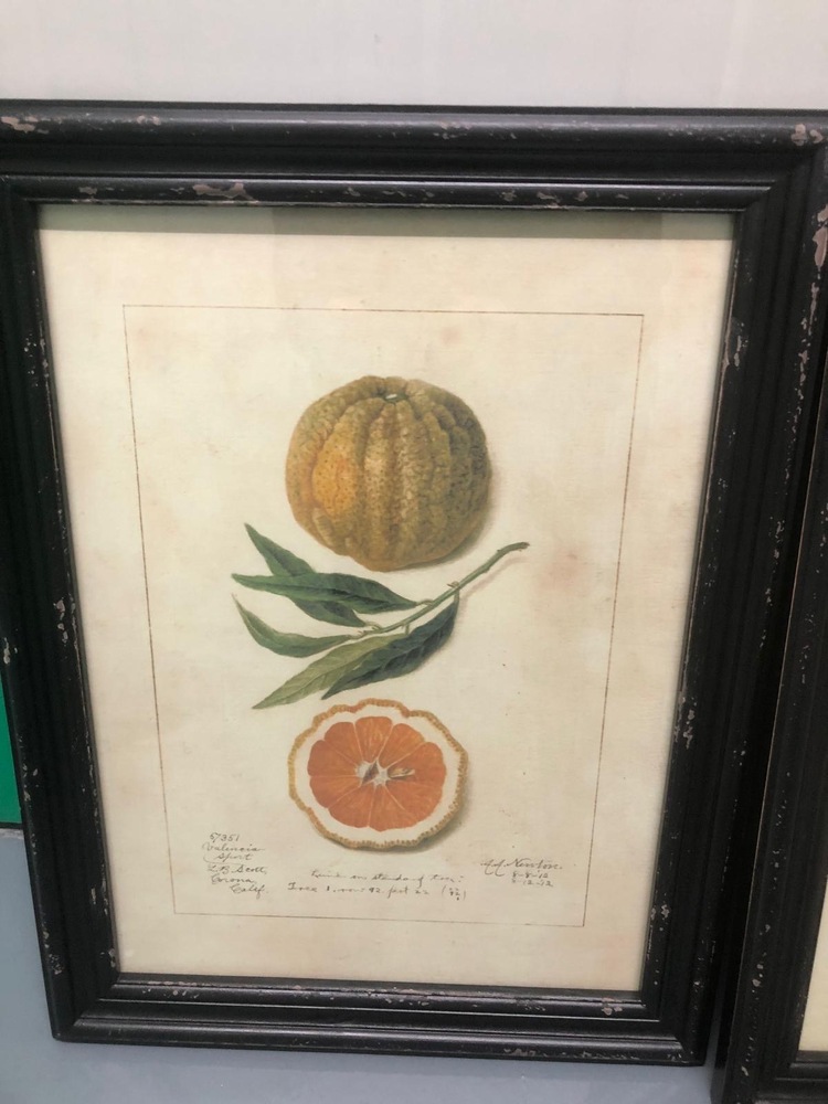 Farnham Storage auction IB-1575 90