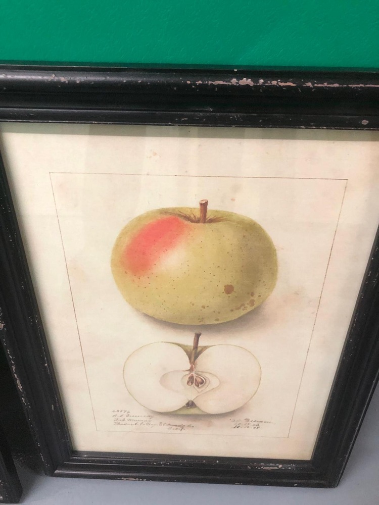 Farnham Self storage unit auction IB-1575 93