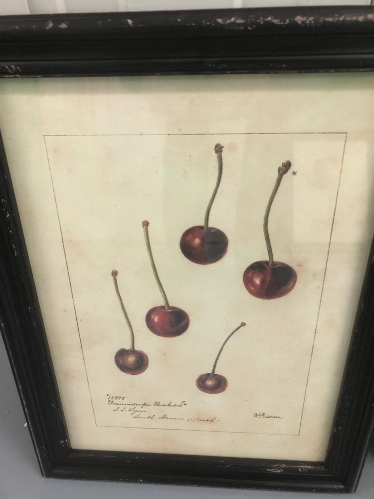 Farnham Self storage facility auction IB-1575 85