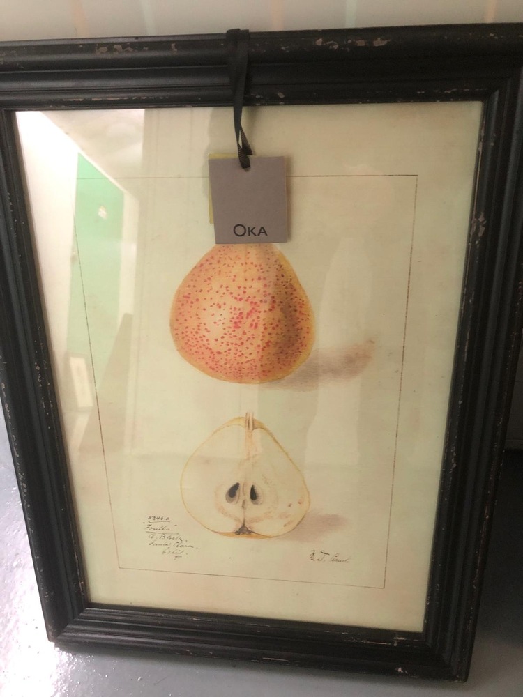 Farnham Storage auction IB-1575 90