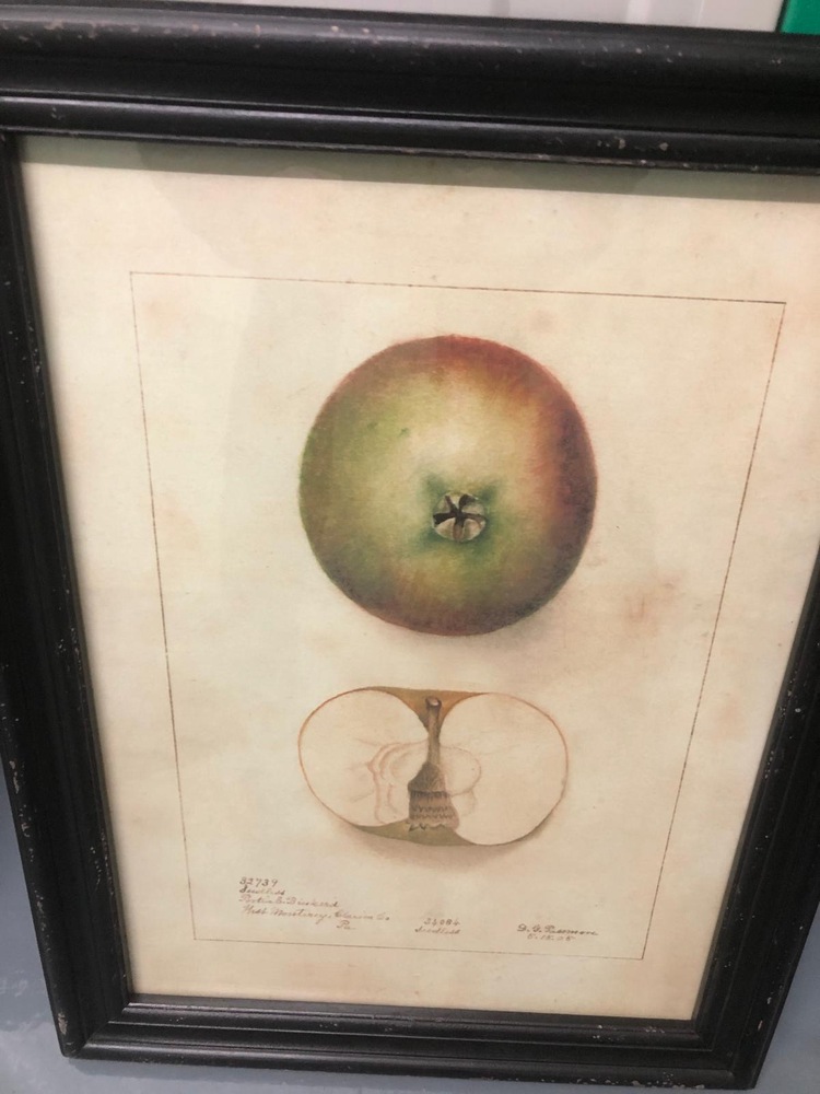 Farnham Storage Unit auction IB-1575 82