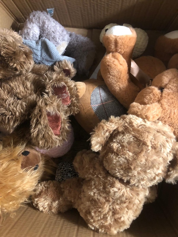 Guildford Storage Unit auction IB-8257