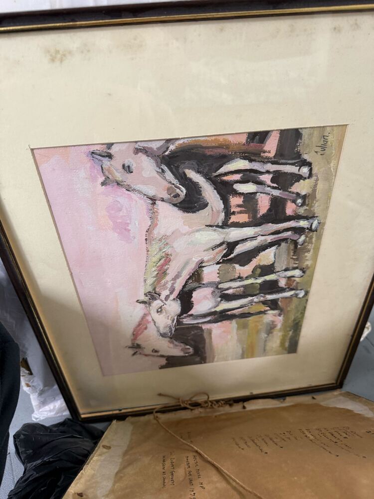 Magenta Self Storage Self storage facility auction IB-8536