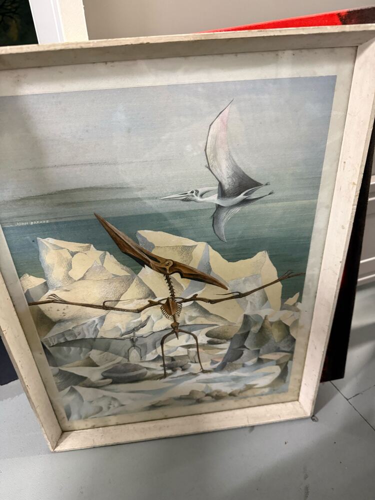 Magenta Self Storage Self storage unit auction IB-8536