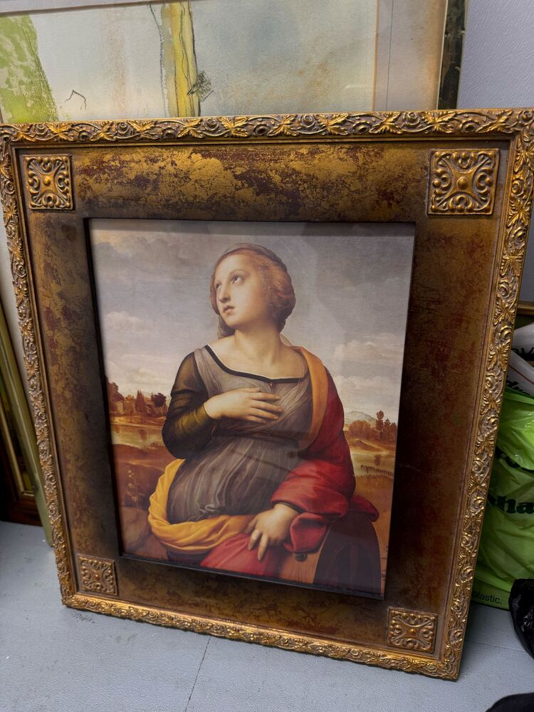 Magenta Self Storage Storage auction IB-8536 20