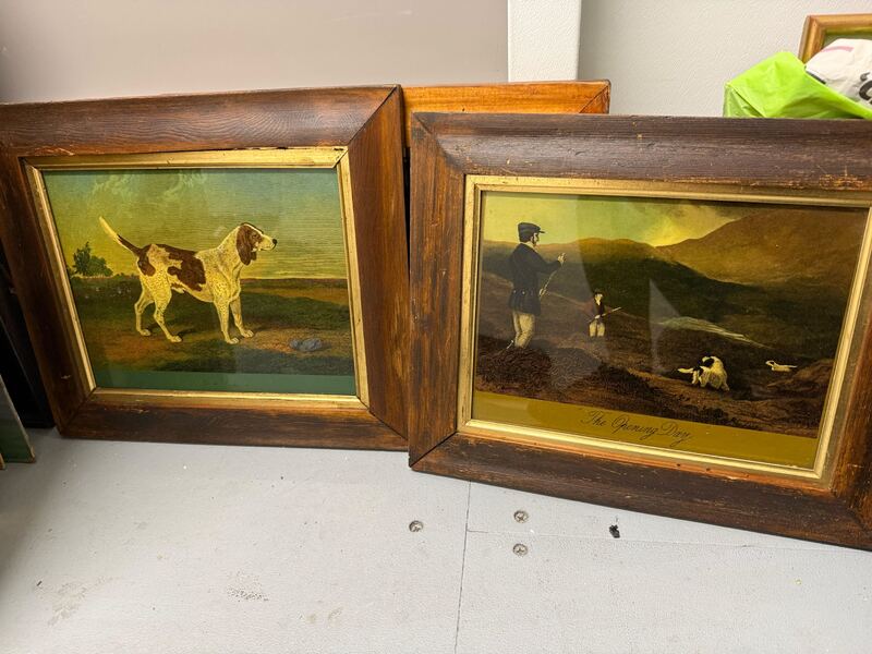 Magenta Self Storage Storage auction IB-8536 20