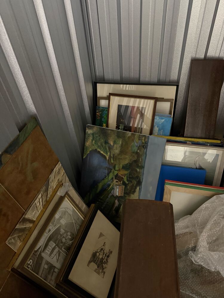 Magenta Self Storage Self storage facility auction IB-8536 55