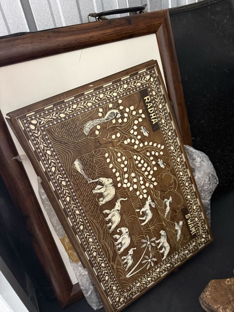 Magenta Self Storage Self storage facility auction IB-8536 55