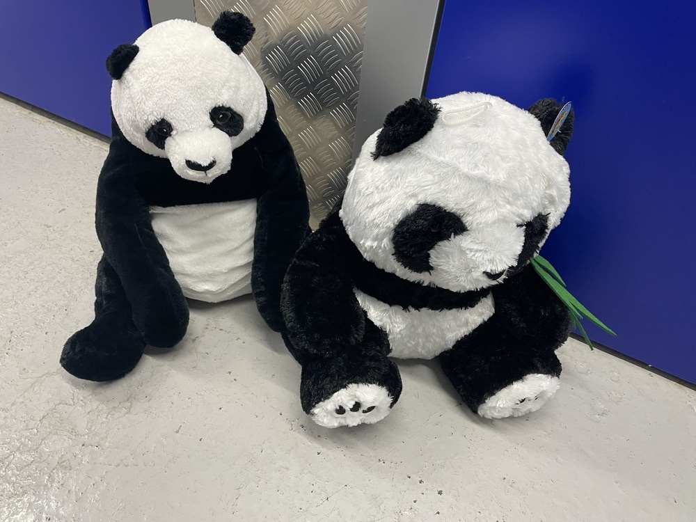 Paddington Self storage facility auction IB-6182