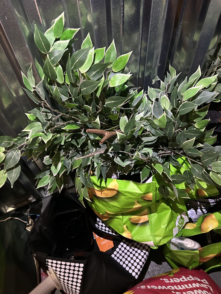 Halifax Self storage unit auction IB-7390 13