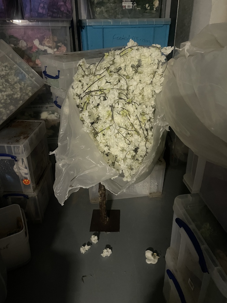 Edgware Storage Unit auction IB-2531 12