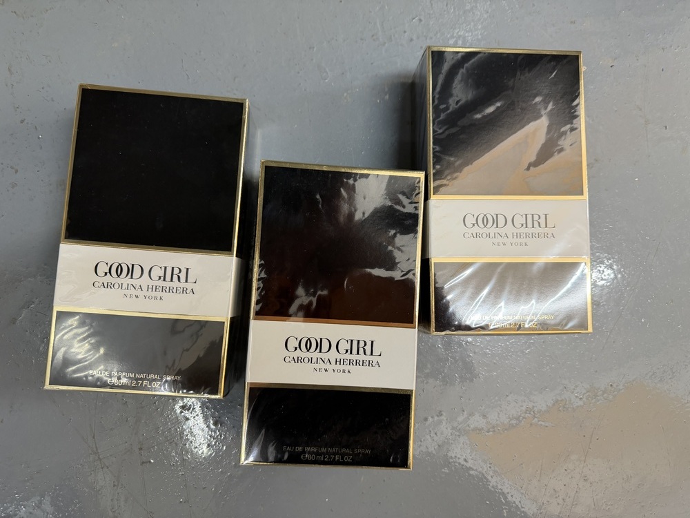 Acton storage facility unit auction IB-5777