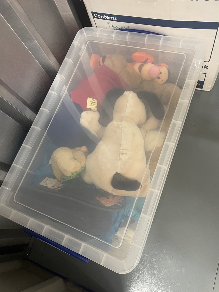 Guildford Storage Unit auction IB-1464 12