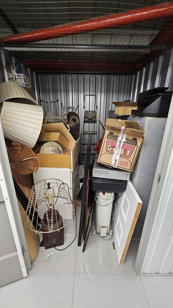 Magenta Storage Self storage auction IB-9017