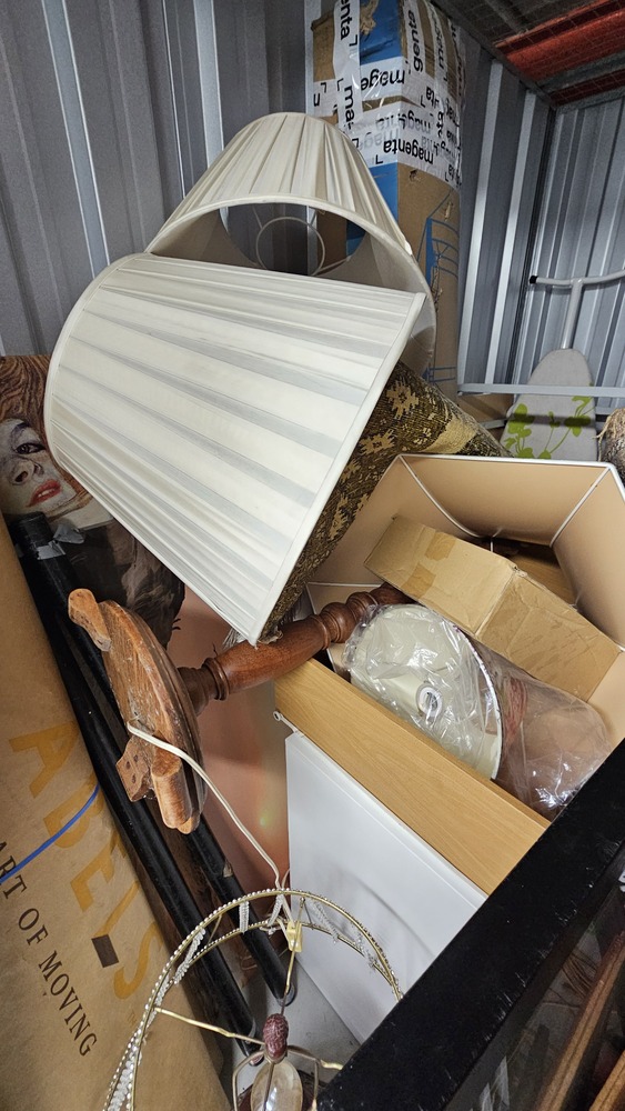 Magenta Storage Storage auction IB-9017 10