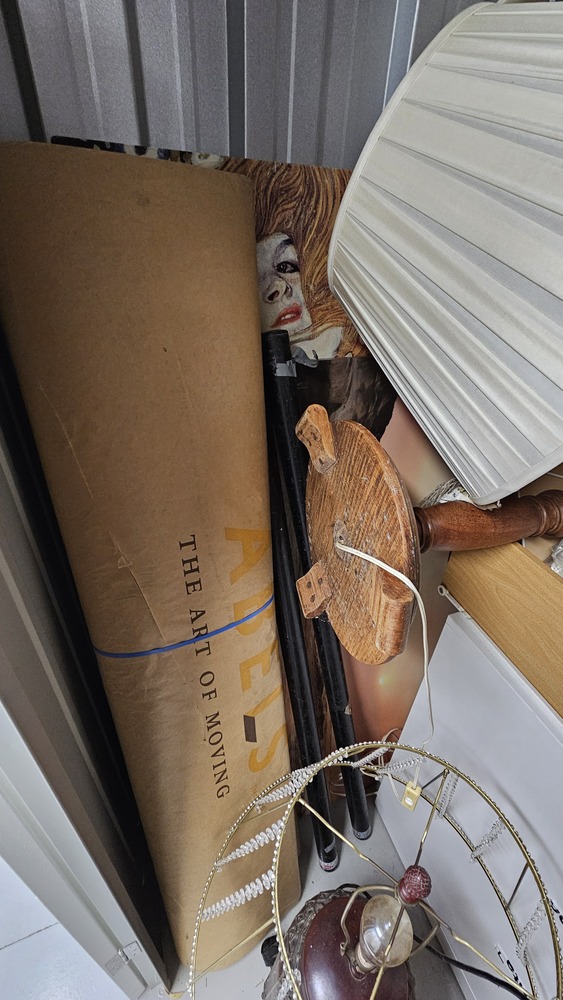 Magenta Storage Storage Unit auction IB-9017 12