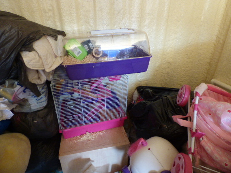 Wellington Storage auction IB-7971