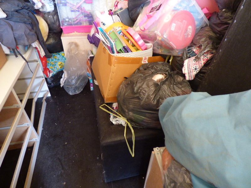 Wellington Storage Unit auction IB-7971